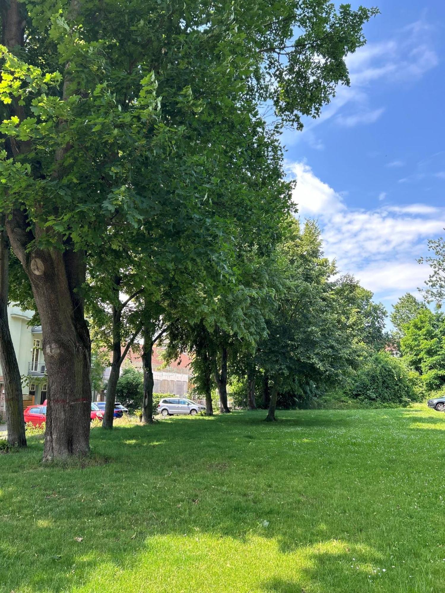 Mintara Komfort Apartment Mit Grill -Terrasse, Sky Und Parkplatz Magdeburg Eksteriør billede