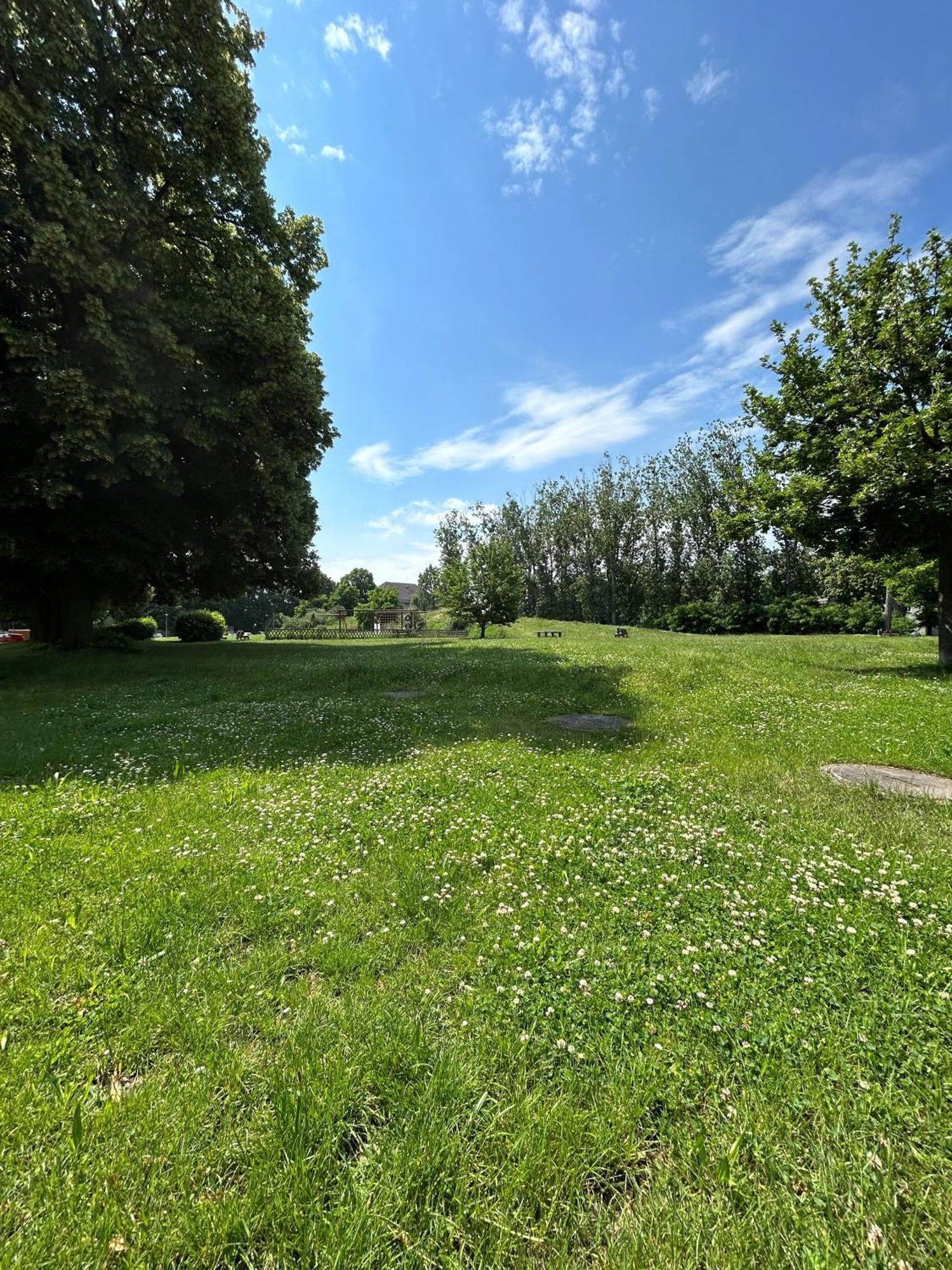 Mintara Komfort Apartment Mit Grill -Terrasse, Sky Und Parkplatz Magdeburg Eksteriør billede